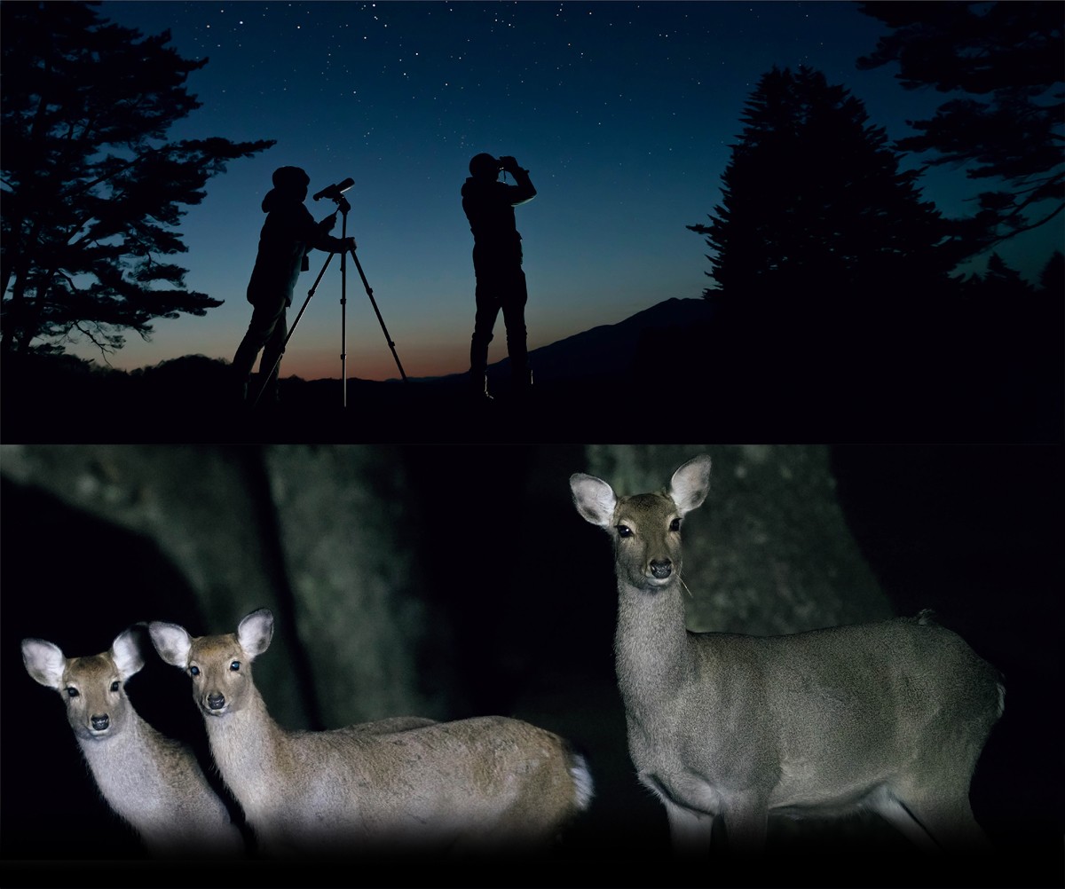 ▲ 野生動植物の専門家によるガイドも楽しい。 帯同するのは軽井沢の自然を守り伝えてきた動物の専門家、ピッキオのガイドスタッフ。動物の生態など、思わず目ウロコな知識も学べます。