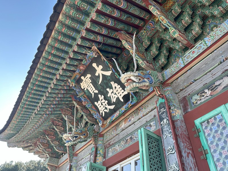 韓国　釜山　美容医療　しみ取り　Web LEON