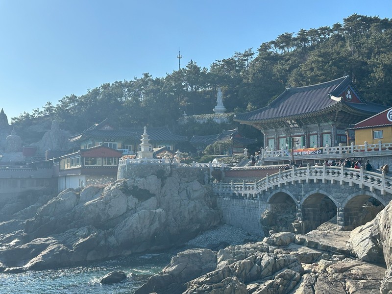 韓国　釜山　美容医療　しみ取り　Web LEON