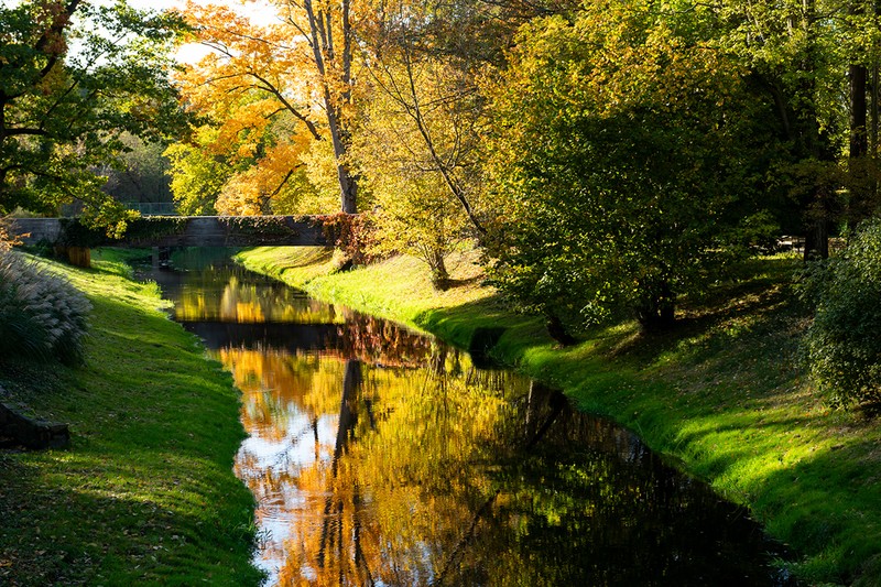 ショパンの生家の隣にある公園は紅葉が見もの。