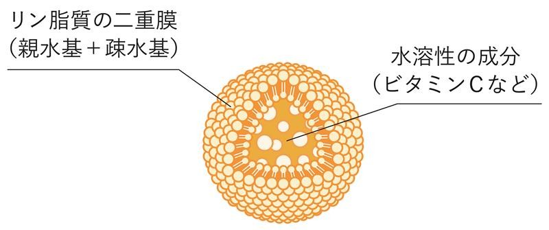 Lypo-C Vitamin C(リポ・カプセル ビタミンC)とは?