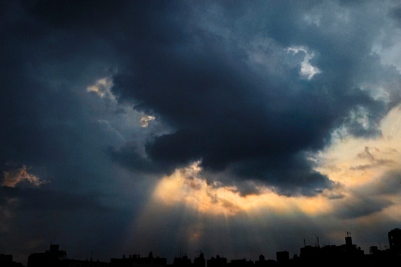 クワトロフォルマッジ　樋口毅宏　WebLEON