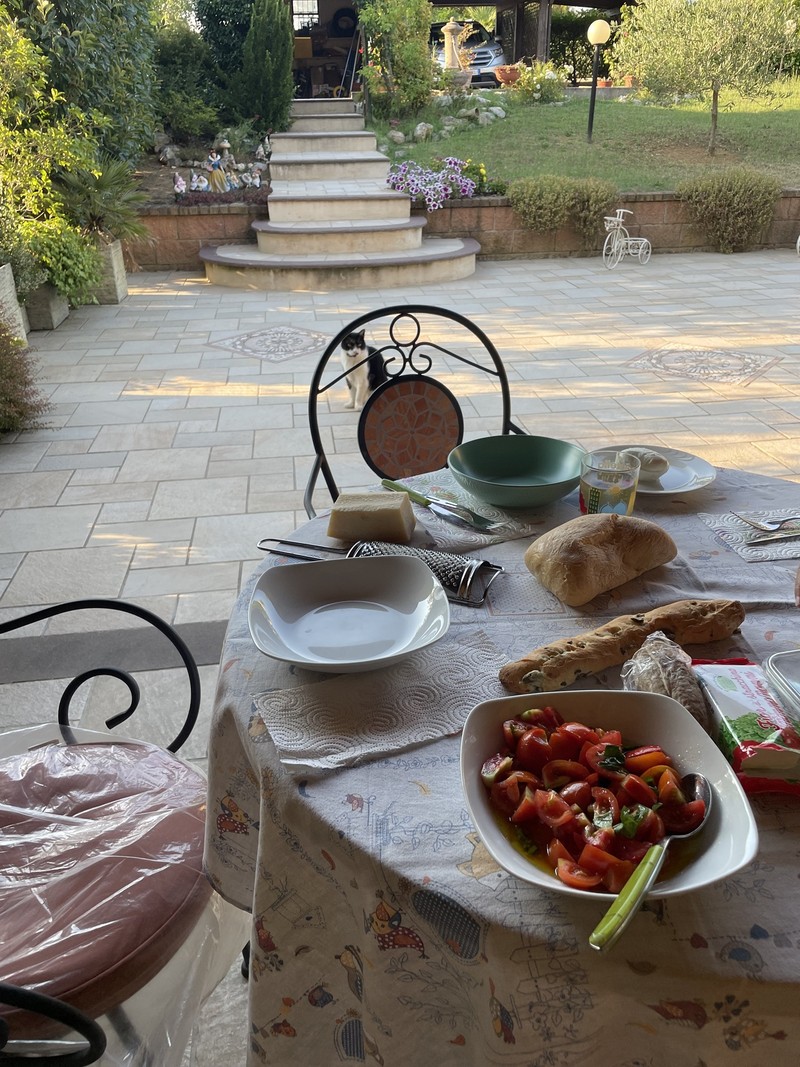 massi マッシ 思考する食欲 イタリア