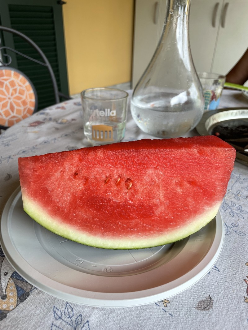 massi マッシ 思考する食欲 イタリア