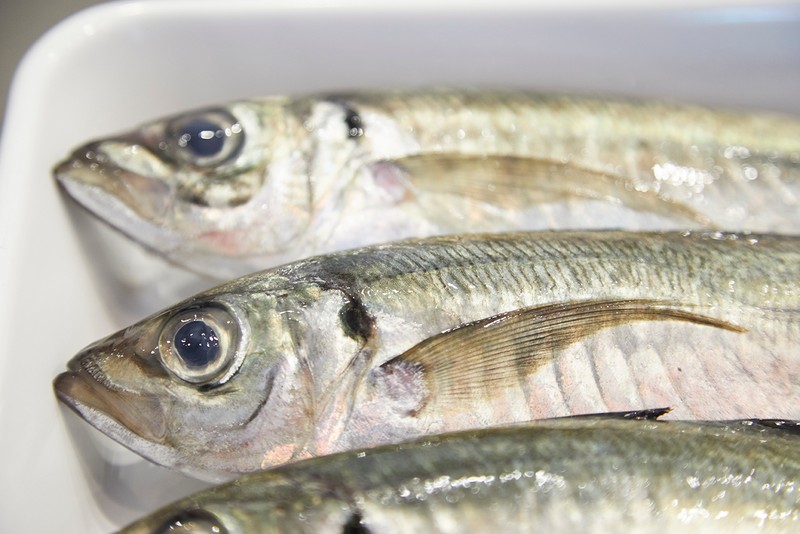 野本やすゆき レシピ 鯵の干物 アジ