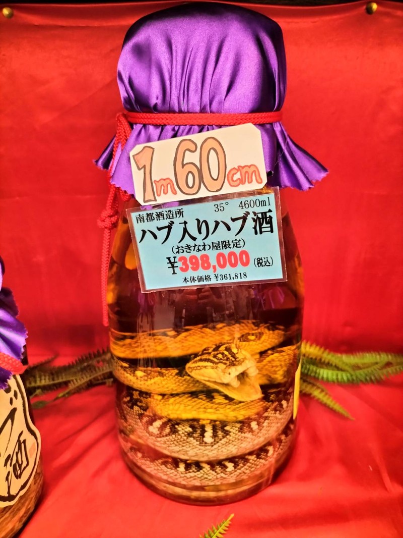 massi   マッシ　思考する食欲　イタリア