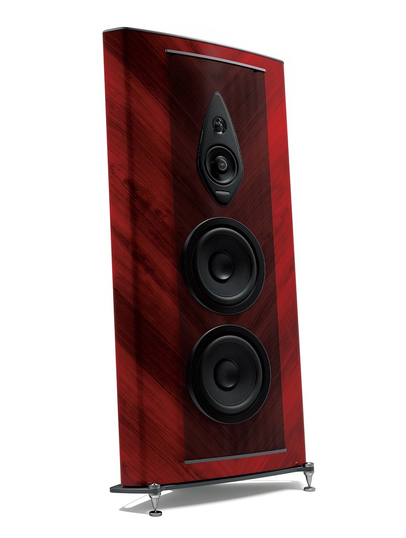 スピーカー990万円/ソナス・ファベール(ノア)