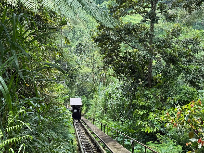 たまに時間がかかるのはご愛嬌。