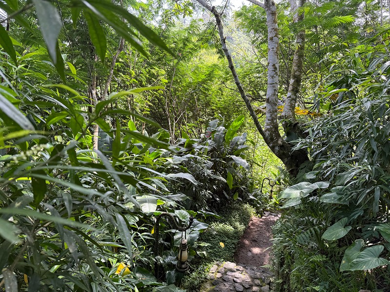 敷地内は段差も多い山道。足腰に自信がない人は上方のバレをリクエストするとか。
