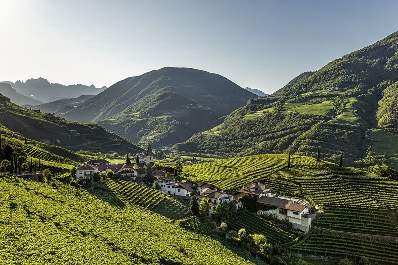 アルト・アディジェ ワイン