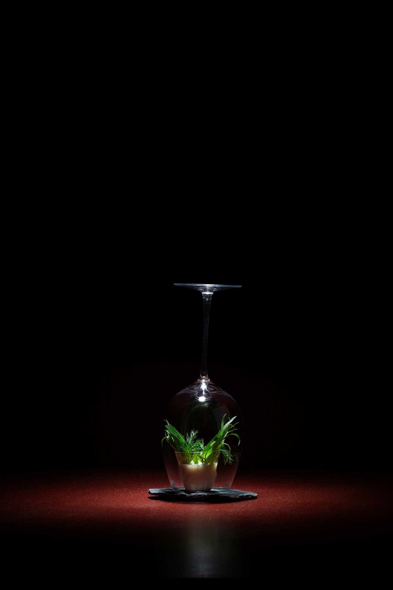 ノンアルカクテル「Terrarium」（2000円）は、ハーブ香とミルキーな風味のマッチングが素晴らしい。ぜひ味わってみてください。