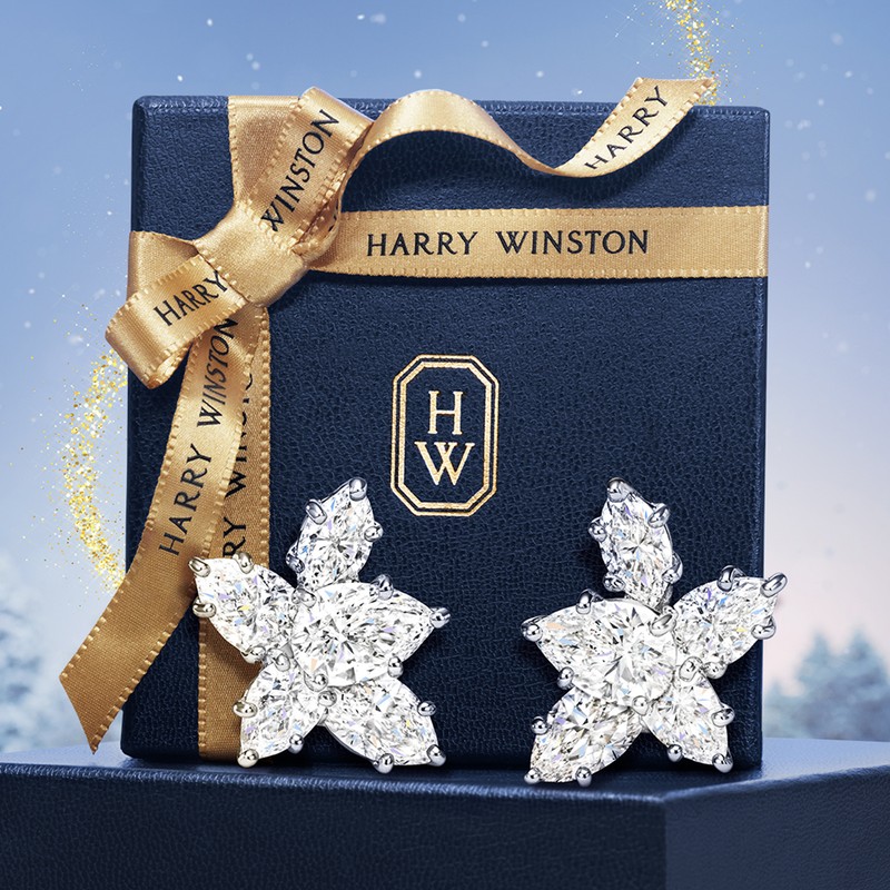 「クラスター・イヤリング」[Pt×ダイヤモンド]602万8000円／ハリー・ウィンストン（ハリー・ウィンストン クライアントインフォメーション）