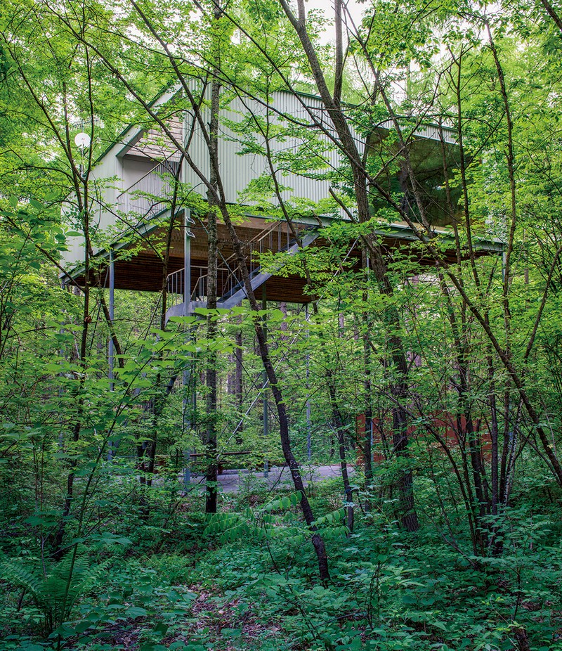 森のピロティ 長谷川 豪/長谷川豪建築設計事務所