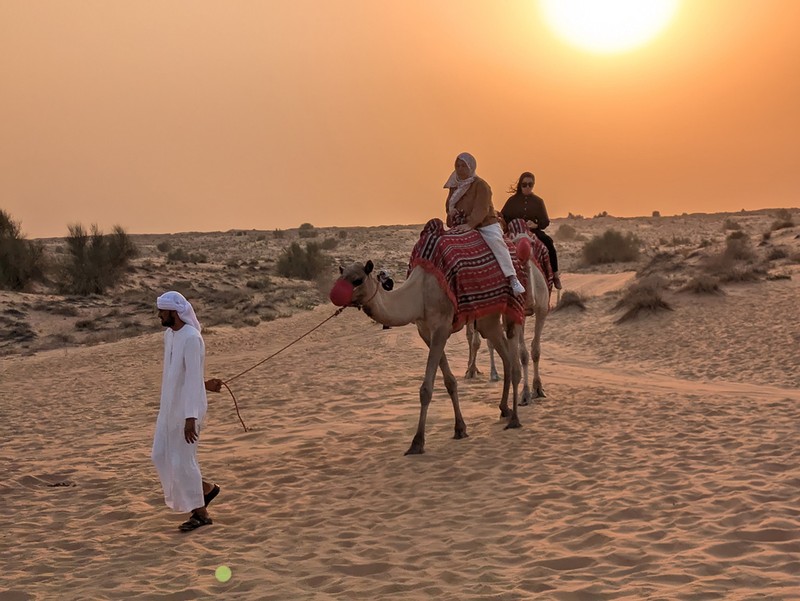 キャンプにはキャメルライドやファルコンの飛行ショーなどのアクティビティももちろんセット。シーシャだけ別料金。