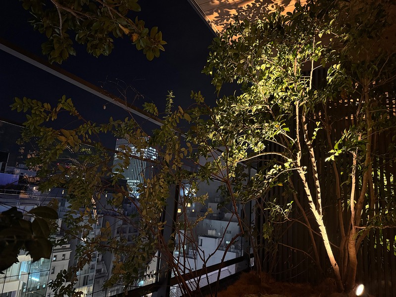 お部屋のお庭からの景色。うまく撮れませんでしたが、眼下には銀座の中央通りの喧騒が。自分がいま銀座のど真ん中で温泉に浸かっているということに改めて不思議な感覚におそわれます。