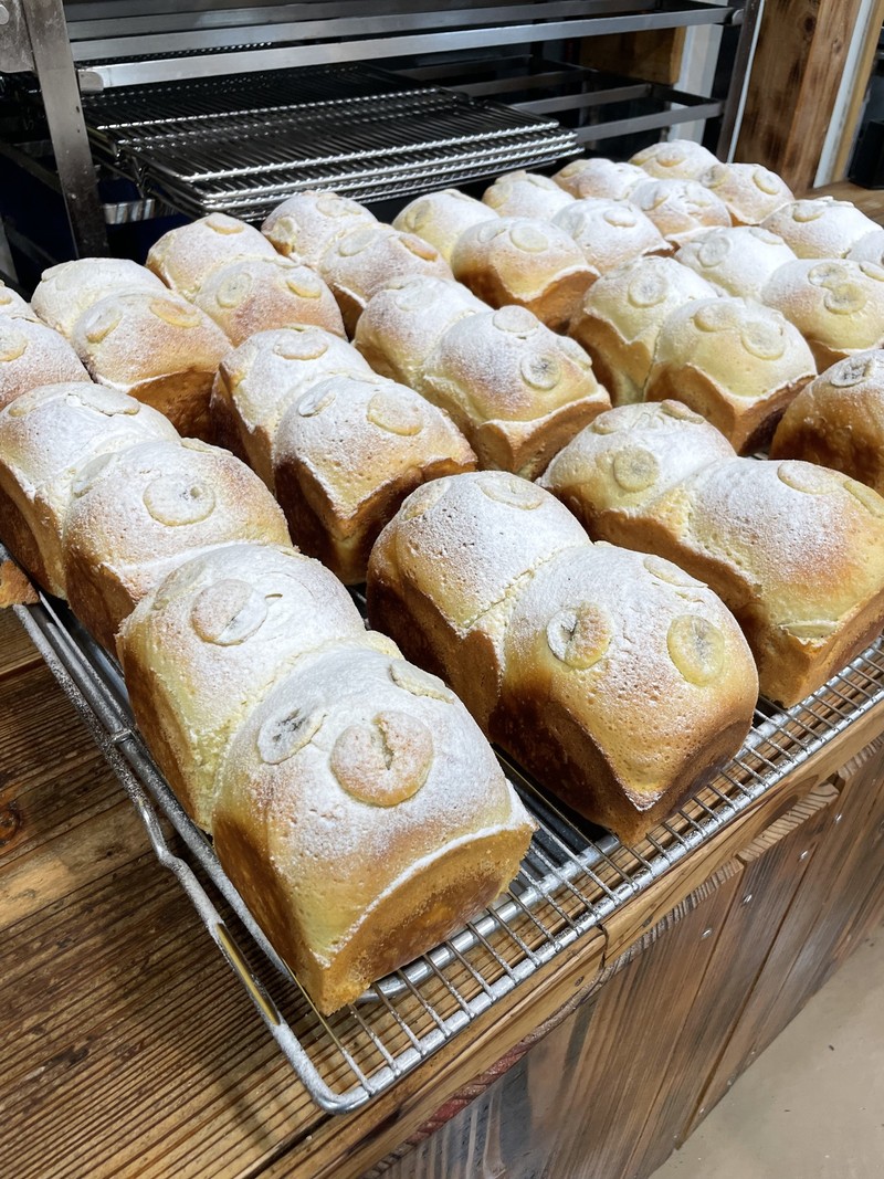 massi   マッシ　思考する食欲　イタリア  鍋料理