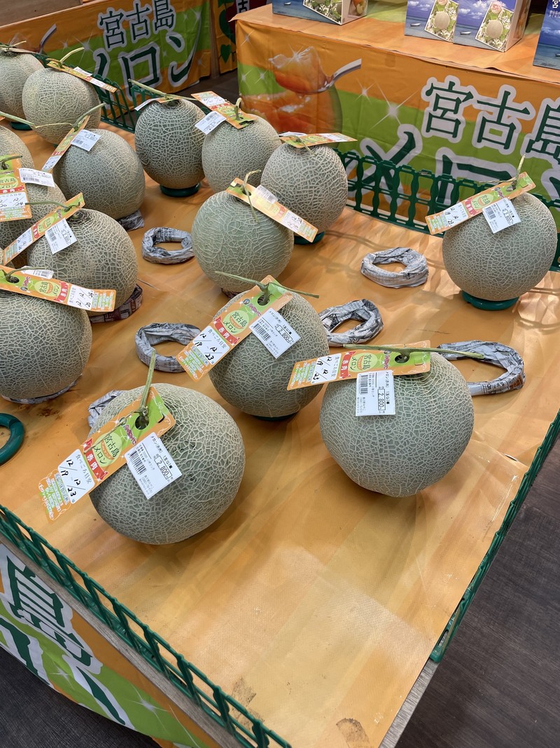 massi   マッシ　思考する食欲　イタリア  鍋料理