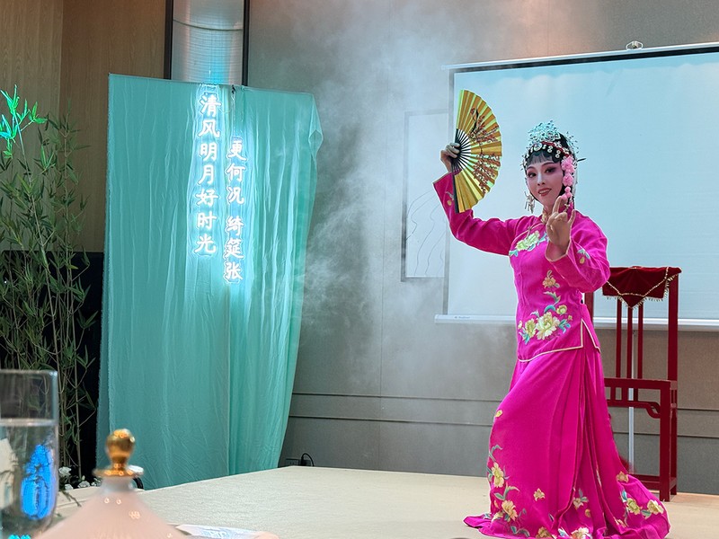 ディナー前に古典舞踊が披露され、手厚い歓迎を感じます。