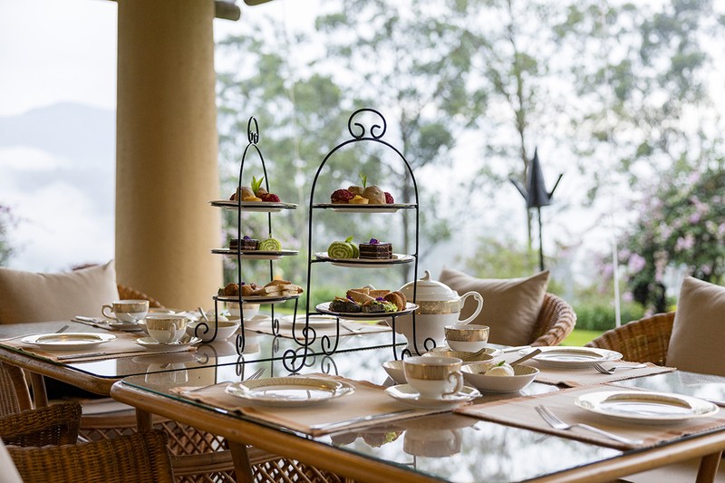 「ダンケルド工場」では紅茶の歴史なども分かりやすく展示。