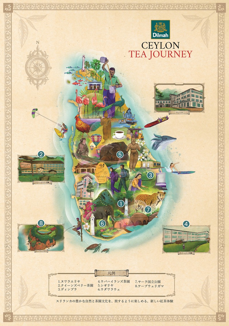 今回は1.6.7.8を訪問。