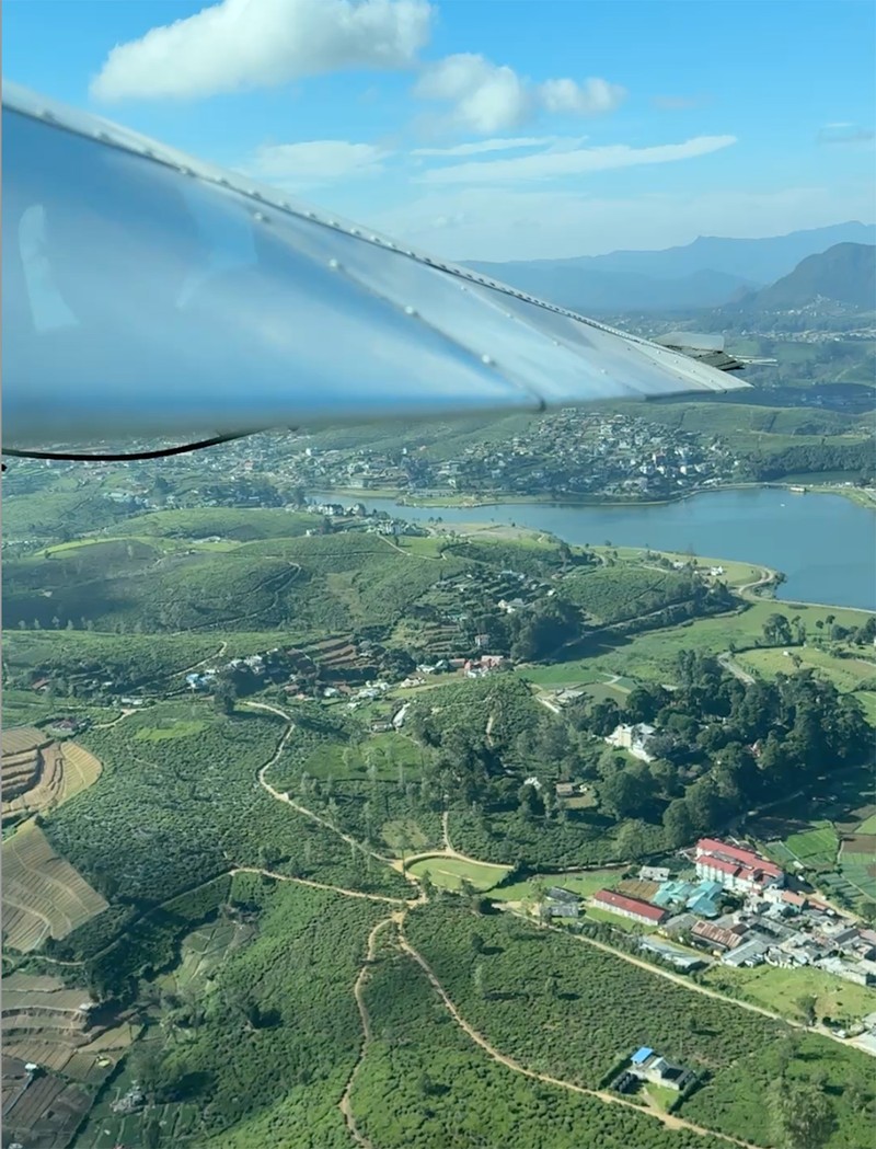 「ダンケルド工場」では紅茶の歴史なども分かりやすく展示。