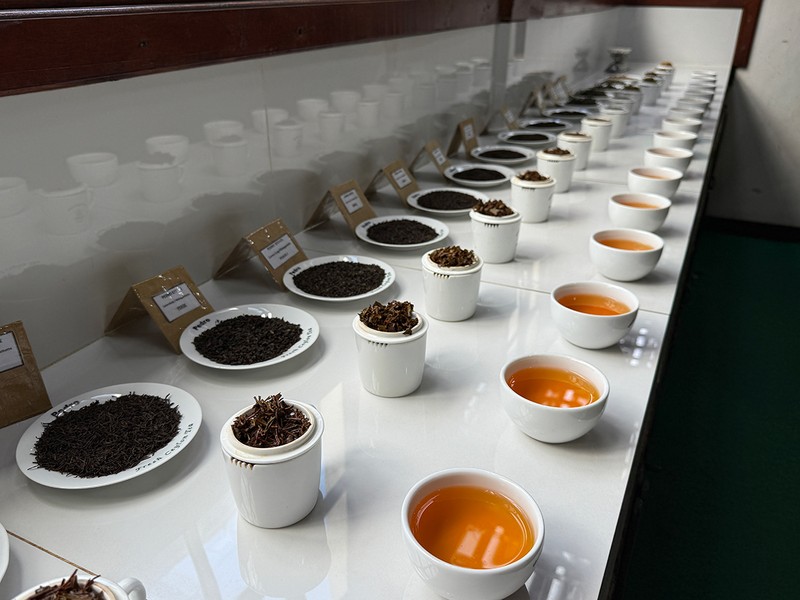 色をよく見るため明るいところで実施。