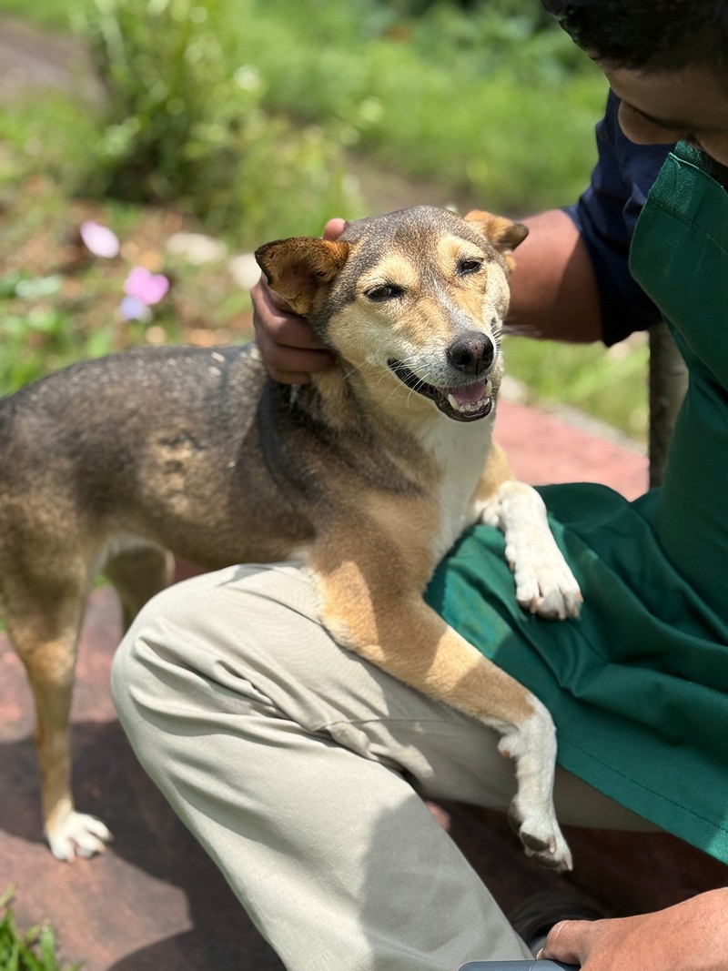 マッサージされるのが好きなショート。